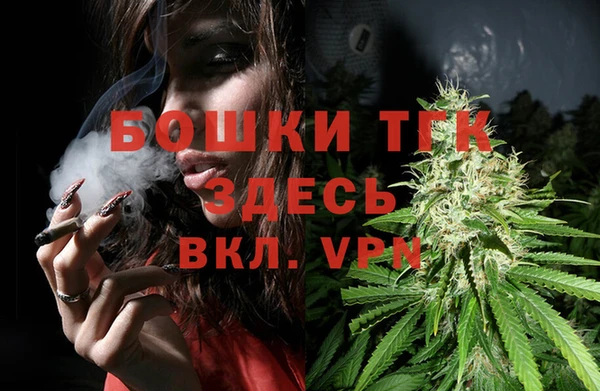 МДПВ Новодвинск