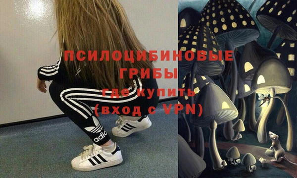 jwh Новозыбков
