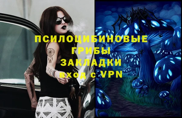 МДПВ Новодвинск