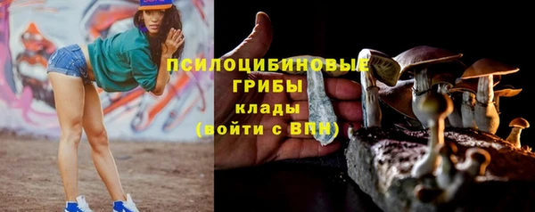 jwh Новозыбков