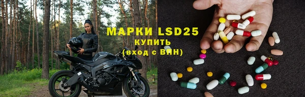 jwh Новозыбков