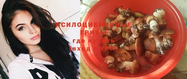 jwh Новозыбков